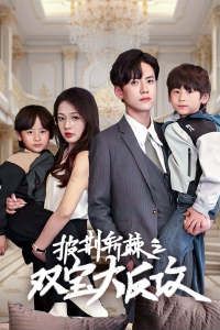 披荊斬棘之雙寶大反攻